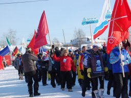Koiravaljakkokisat 